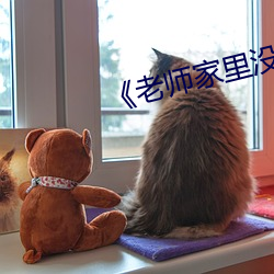 《老师家里没人你用点力》