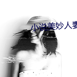 小(小)说(說)美妙人妻合(合)集