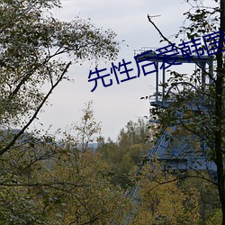 先性后爱韩国(guó)电(diàn)影(yǐng)