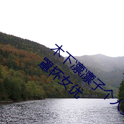 ǲ(й)ٷվ