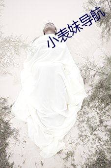 小表(biǎo)妺导航