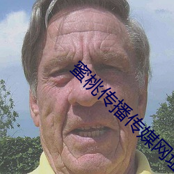 蜜桃传播传媒网址