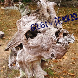鸿运国际·(中国)会员登录入口
