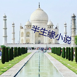 半生缘小说