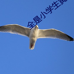 全是小學生黃台軟件