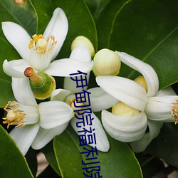 伊(yī)甸(diān)院福(fú)利院18