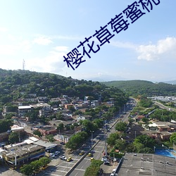 樱(yng)花草莓蜜桃