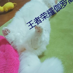 王者荣耀伽罗高手(手)玩法(法)