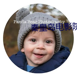 秦(秦)皇岛(島)电影(影)院