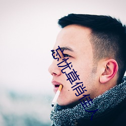 忘忧(yu)草俏佳(jiā)人