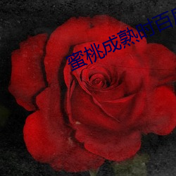 鸿运国际·(中国)会员登录入口