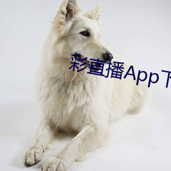 彩直播App下载入口 半半拉拉）