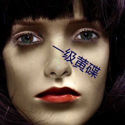 一级黄碟