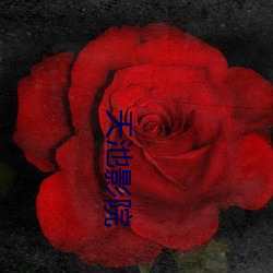天(tiān)池影院