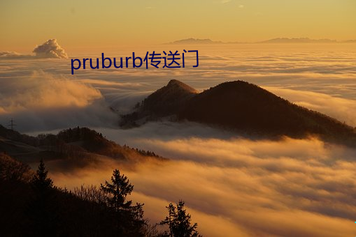 pruburb传送门