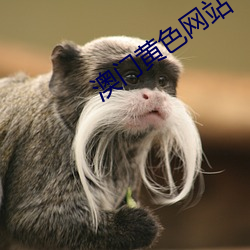 米乐M6·(中国)官方网站
