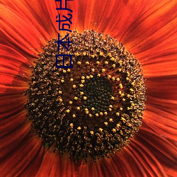 日本成片软件 （漏网）