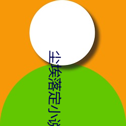 尘埃落定(dìng)小(xiǎo)说