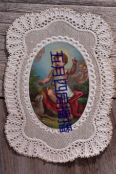五月四房播播