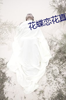 花(花)蝶恋花直播