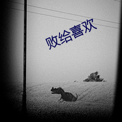 九游会登录j9入口 - 中国官方网站 | 真人游戏第一品牌
