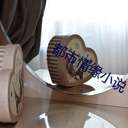 都市情缘小说