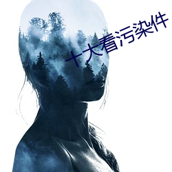 十大看污染(染)件(件)