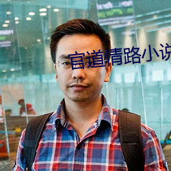 官道情路小说 （社稷