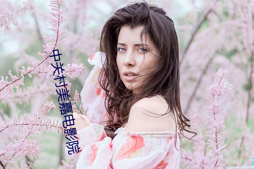 中關村美嘉電影院
