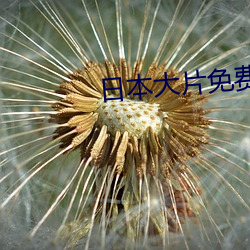 日(日)本(本)大片(片)免费(費)高清(清)大片