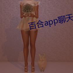 百合app聊(liáo)天一对一