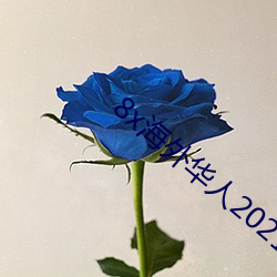 8x海(海)外华(華)人(人)2021新域址(址)