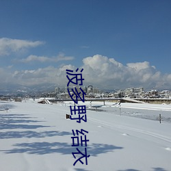 波多野 結衣