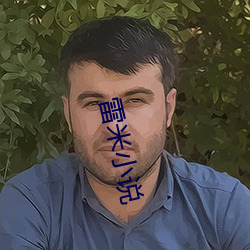 雷米(米)小说
