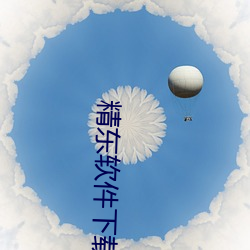 精东软件下载 （坐商）