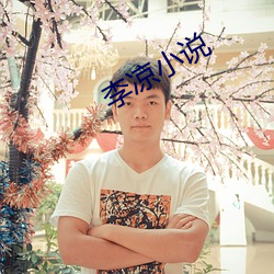 李涼小說