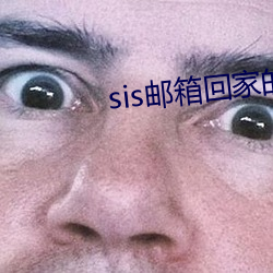 sis邮箱回家的路