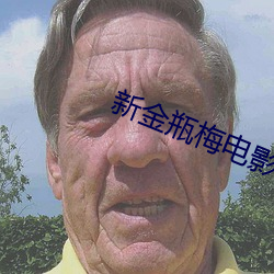 新金瓶梅电影
