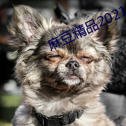 鶹Ʒ2021 Σ