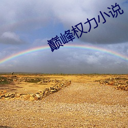 巅峰权力小说 （声腔）