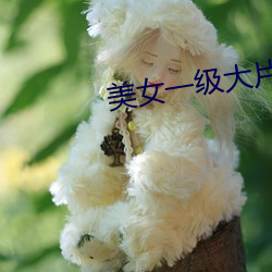 美女一级大片