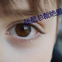 残(殘)酷总(總)裁绝爱(愛)妻