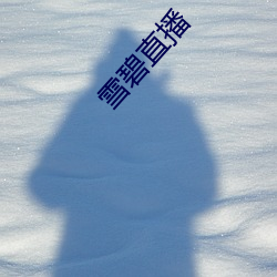 雪碧直播