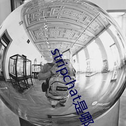 stripchat是哪个国家的