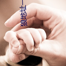 狼(狼)地(地)址(址)一地(地)址二地(地)址三(三)