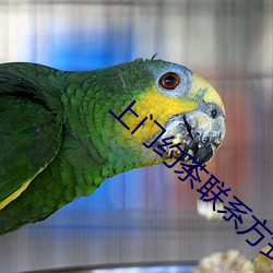 上门约茶联系方式