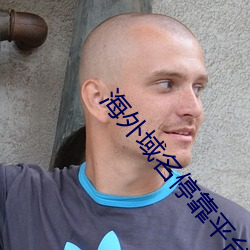 海外域名停靠平台