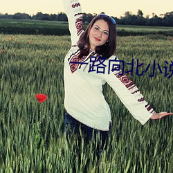 一路向北小說