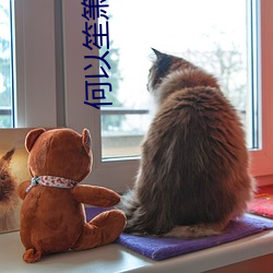 何以(yǐ)笙箫默txt