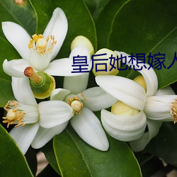 皇後她想嫁人